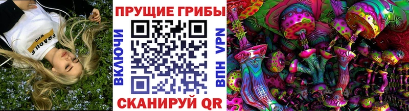 Галлюциногенные грибы GOLDEN TEACHER  Губкин 