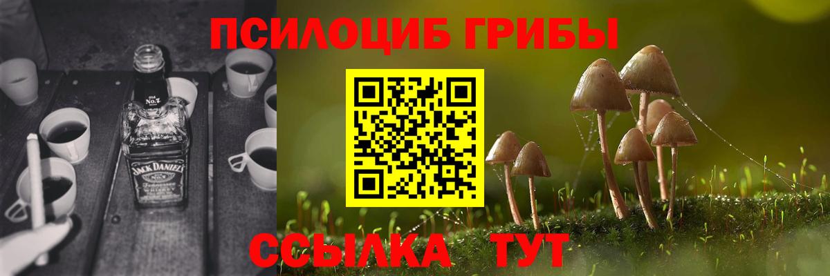 Псилоцибиновые грибы ЛСД  Вход с VPN  Псилоцибиновые грибы Psilocybine cubensis  Губкин 