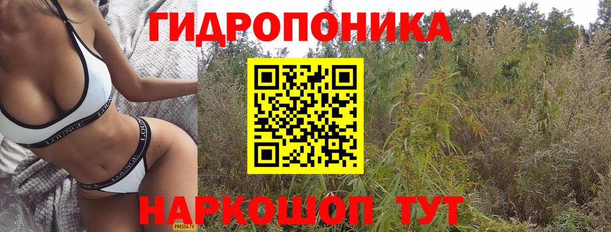 Конопля Bruce Banner  Бошки марихуана AK-47  Губкин  МАРИХУАНА LSD WEED  Вход с VPN  Бошки Шишки индика 